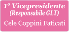 1 Vice Presidente